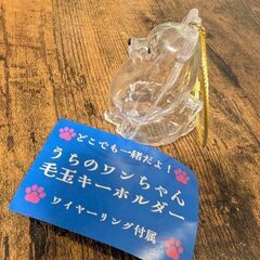 【新品未使用】うちのワンちゃん毛玉キーホルダー（ポメラニアン）の画像