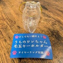 【新品未使用】うちのワンちゃん毛玉キーホルダー（ポメラニアン）の画像