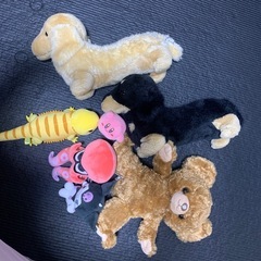 ぬいぐるみの画像