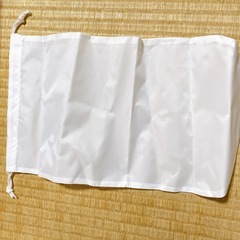 SteamQ X  パワフルハンディスチーマー　の画像