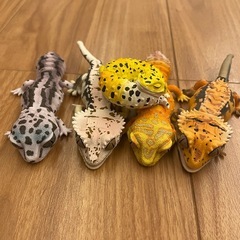 ☆お話中☆  　ガチャのレオパ　5匹の画像