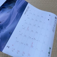 ２０２６年用の壁掛けカレンダー　 の画像