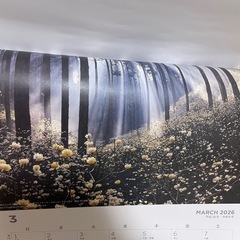 ２０２６年用の壁掛けカレンダー　 の画像