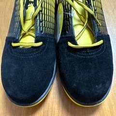 ミドリ安全　先芯入りスニーカー　25cmの画像