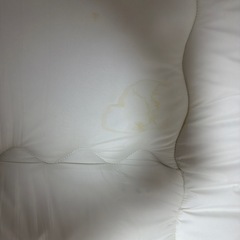 ニトリ　ポリエステル敷布団の画像