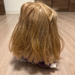 【取引予定者決定済
】ロングヘアメルちゃんの画像