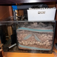 60 ワイド オーバーフロー水槽 フルセットの画像