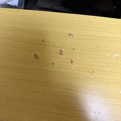 こたつコタツの画像