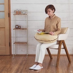 マイクロビーズクッション の画像