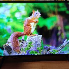 無料配送 2024年 SHARP AQUOS 43V型 4T-C43GJ1 4K液晶テレビ HDR10 Youtube NETFLIX 多機能音声リモコン(287)の画像