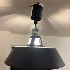 ペンダントライト 引掛シーリング LED電球付きの画像