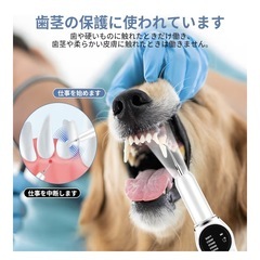 超音波　ペット歯磨き　クリーナー　新品の画像