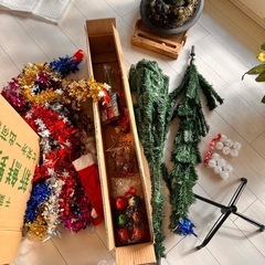 クリスマスツリーの画像