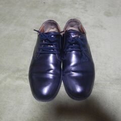 大阪星光学院　革靴　23cmの画像