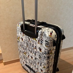 ディズニーキャリーバック
の画像