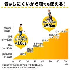 【ジャンク品】トランポリンの画像