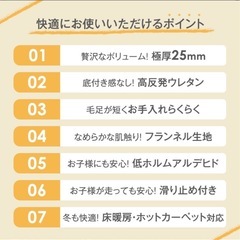 【12/23引渡し希望】ホットカーペット+アイボリーラグの画像