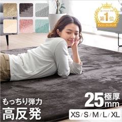 【12/23引渡し希望】ホットカーペット+アイボリーラグの画像