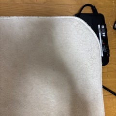 【12/23引渡し希望】ホットカーペット+アイボリーラグの画像