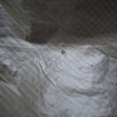 ogawa  タッソUL （ワンポールテント）の画像