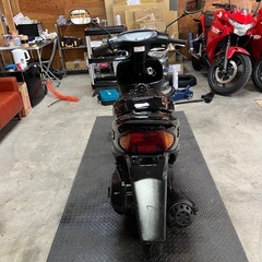 ホンダ ライブDIOの画像