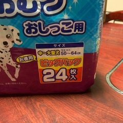 男の子のためのマナーおむつ　おしっこ用の画像