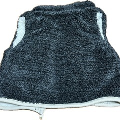 80センチ　2点セット　チャンピオンの画像