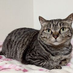 【そうこ】耳が小さくてキティちゃんみたいな丸顔の女の子