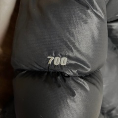 ノースフェイスヌプシセンターロゴ希少の画像