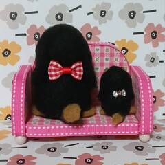 羊毛フェルト小さな ダックスフント親子ソファー付きの画像