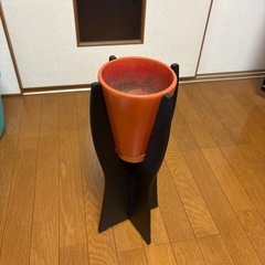 至急‼️観葉植物　オシャレな鉢の画像