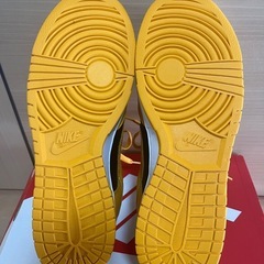 NIKE Dunk Low ゴールデンロッド 29cm 新品未使用の画像