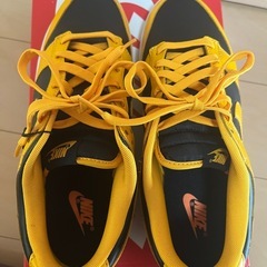 NIKE Dunk Low ゴールデンロッド 29cm 新品未使用の画像