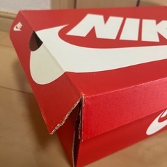 NIKE Dunk Low ゴールデンロッド 29cm 新品未使用の画像