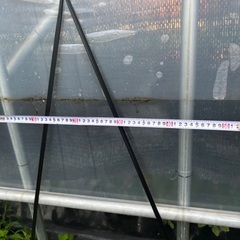 ビニールハウス31.8mm太さ美品長さ14間の画像