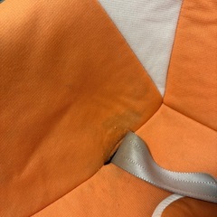 チャイルドシート　リーマンLYD-351の画像