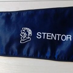 Stentor Violin （21日日曜日までに販売したいです）クリスマスまであと4日の画像