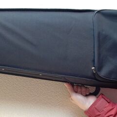 アンドーア・ヴィオラ  （21日までに売りたいです）の画像