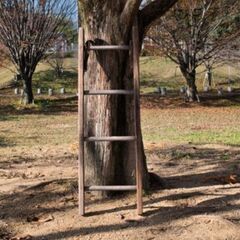 ウッド ラダー   ヴィンテージ 【PayPay決済・配送可🌈 他家具雑貨 掲載中の画像