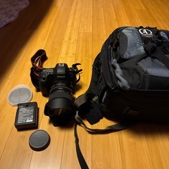 Canon EOS 6D Mark II + Tamron 24-70mmの画像