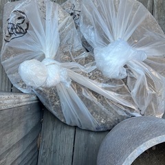 植木鉢　　インテリアの画像