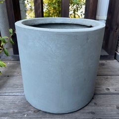 植木鉢　　インテリアの画像