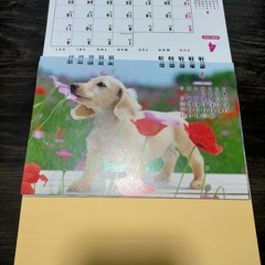 【未使用】pretty puppies 卓上カレンダー　2026　子犬　令和８年の画像