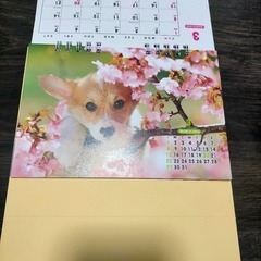 【未使用】pretty puppies 卓上カレンダー　2026　子犬　令和８年の画像