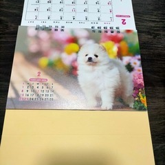 【未使用】pretty puppies 卓上カレンダー　2026　子犬　令和８年の画像