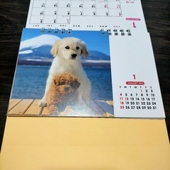 【未使用】pretty puppies 卓上カレンダー　2026　子犬　令和８年の画像