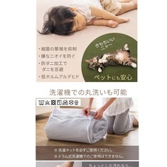 新品/カーペットラグ（ホットカーペット可）の画像