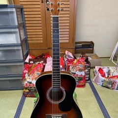 レジェンド　FG-20 BSの画像