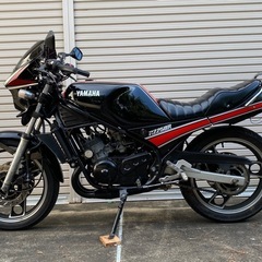 ヤマハ RZ250R 29L 2st カスタム 希少 絶好調 当時物 スガヤの画像