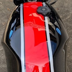 ヤマハ RZ250R 29L 2st カスタム 希少 絶好調 当時物 スガヤの画像